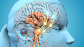 Dopamine neurotransmitter molecular structure - bromantane for ADHD
