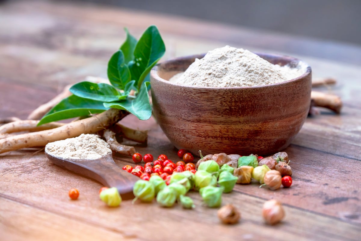 Ashwagandha Roots and powder known as Withania somnifera in white bowl on wooden background. Indian ginseng, poison gooseberry, or winter cherry. Herbal adaptogen ayurvedic medicine.
