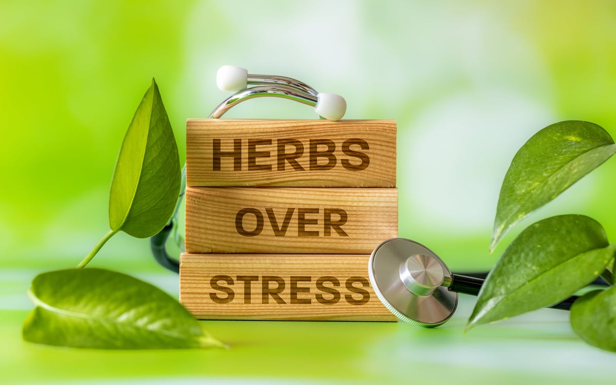 Mental health and stress relief concept with stethoscope, green leaves and wooden blocks with text HERBS OVER STRESS, natural green background and copy space